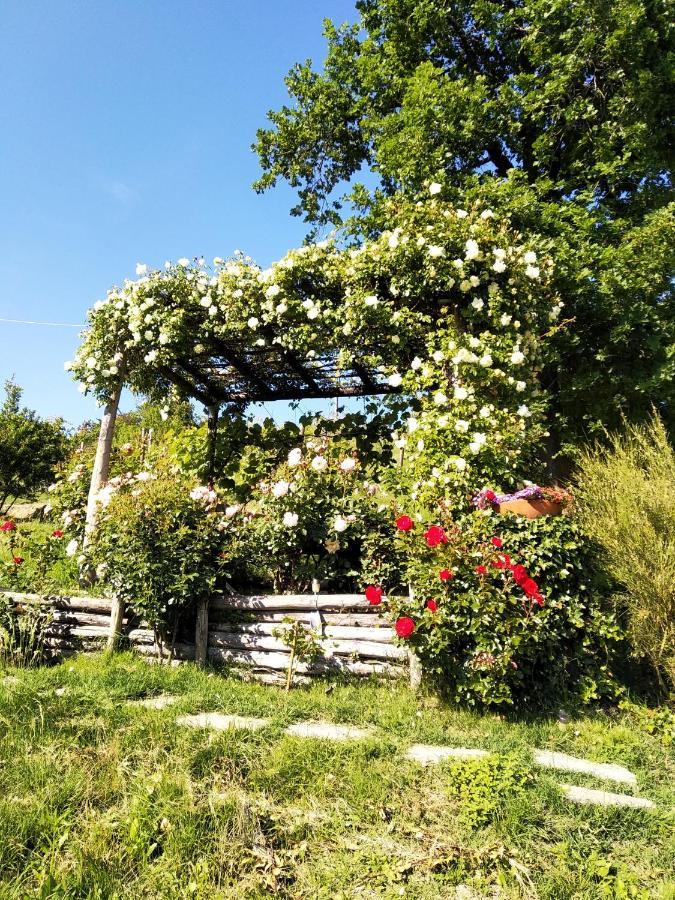 Sotto La Luna Bruna B&B Cocconato Exterior photo